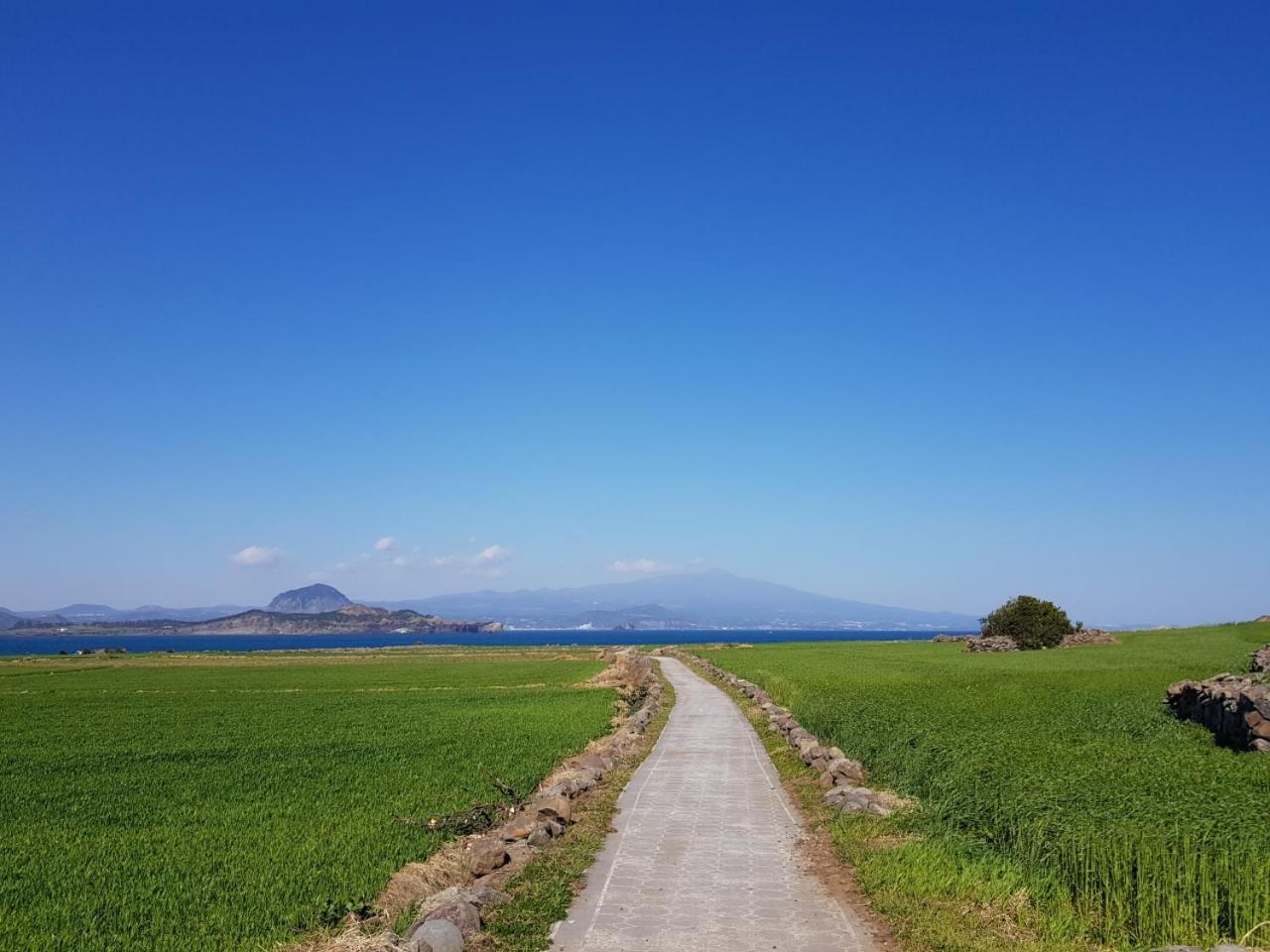 Jeju Moseulpo Hotel Seogwipo Esterno foto